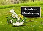 Logo Kräuterwanderung 