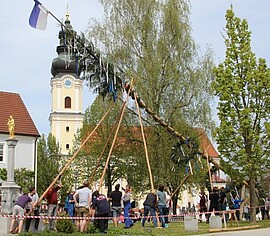Banner Maibaumaufstellen 2018